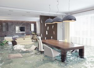 Water Damage Services of Plano